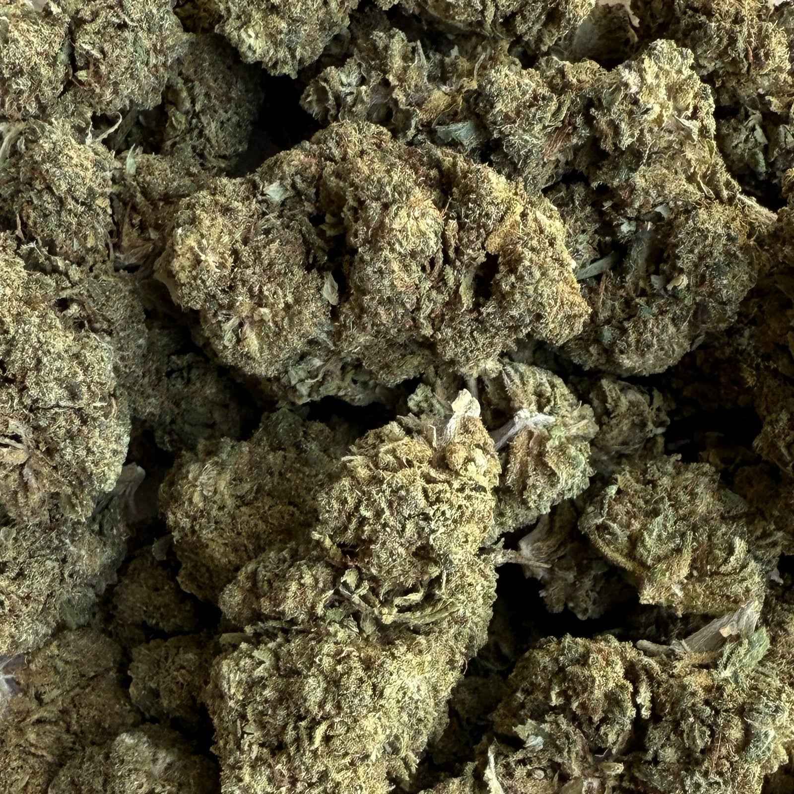 Lemon Pie 20% CBDX - Indoor (Néo-Cannabinoïde)