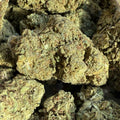 Lemon Pie 20% CBDX - Indoor (Néo-Cannabinoïde)
