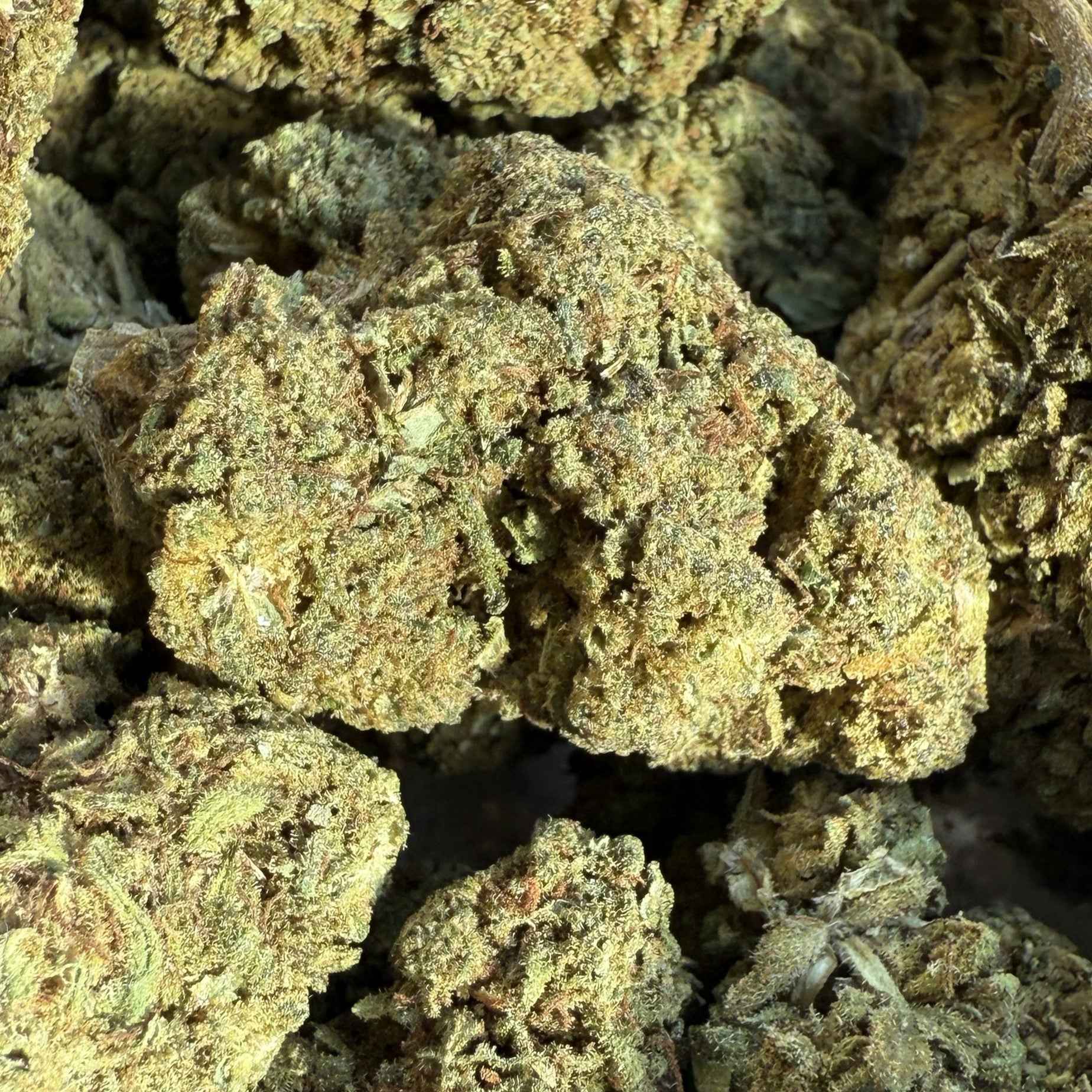 Lemon Pie 20% CBDX - Indoor (Néo-Cannabinoïde)