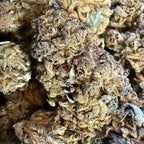 Master Kush CBD Big Bud