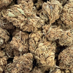 Master Kush CBD Big Bud