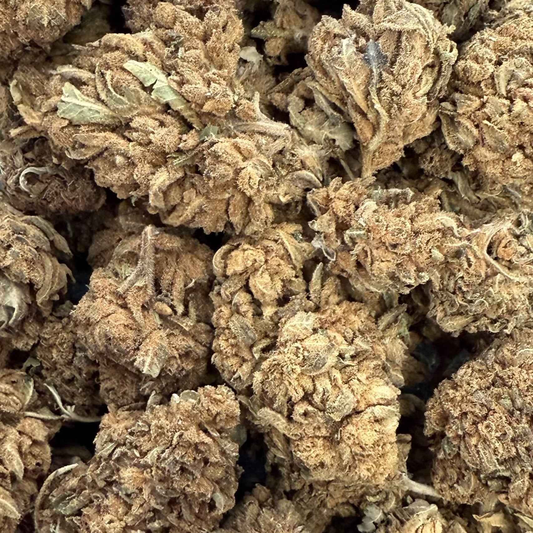 Master Kush CBD Big Bud