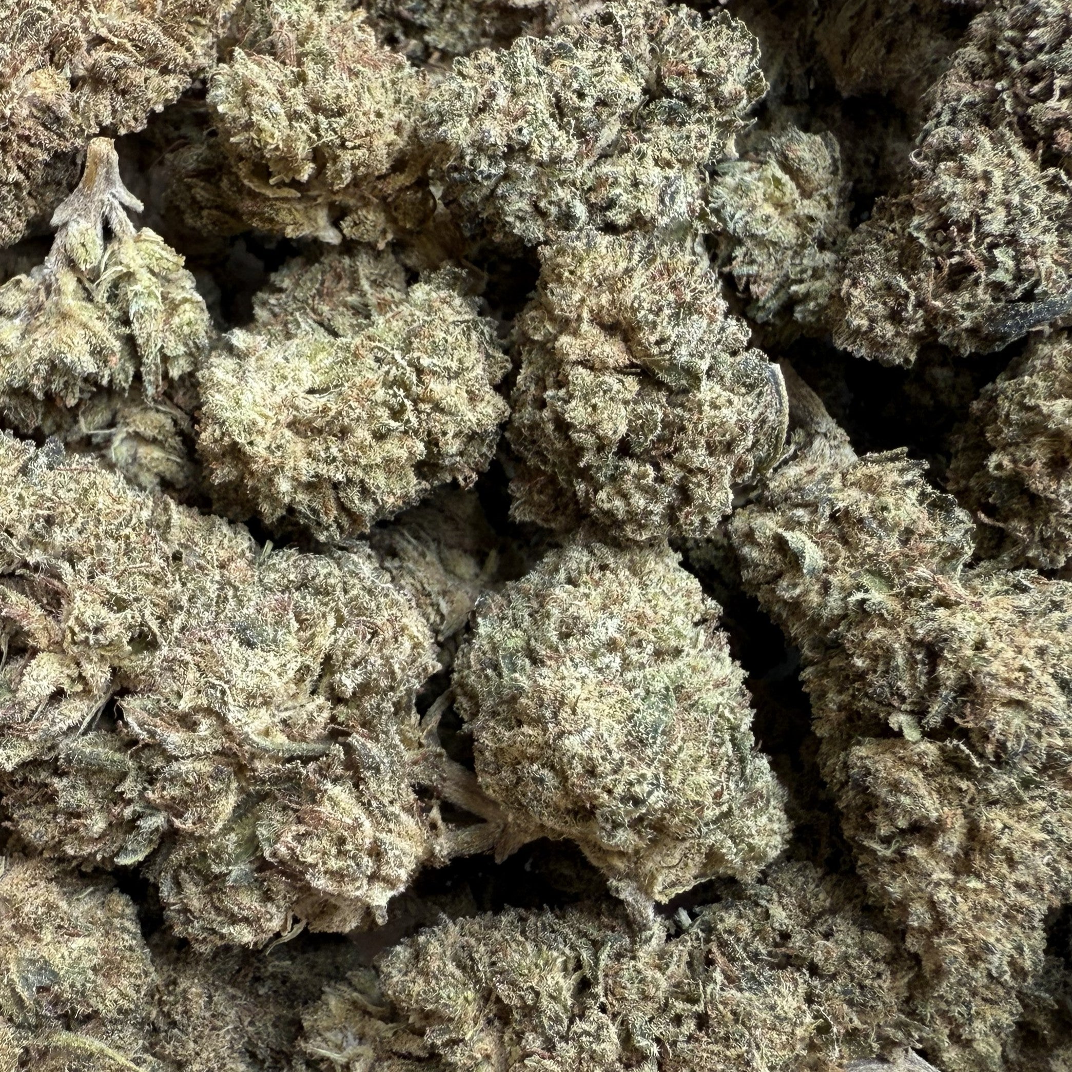 100G Mimosa CBD 20% - Sans THC - Indoor