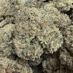 100G Mimosa CBD 20% - Sans THC - Indoor