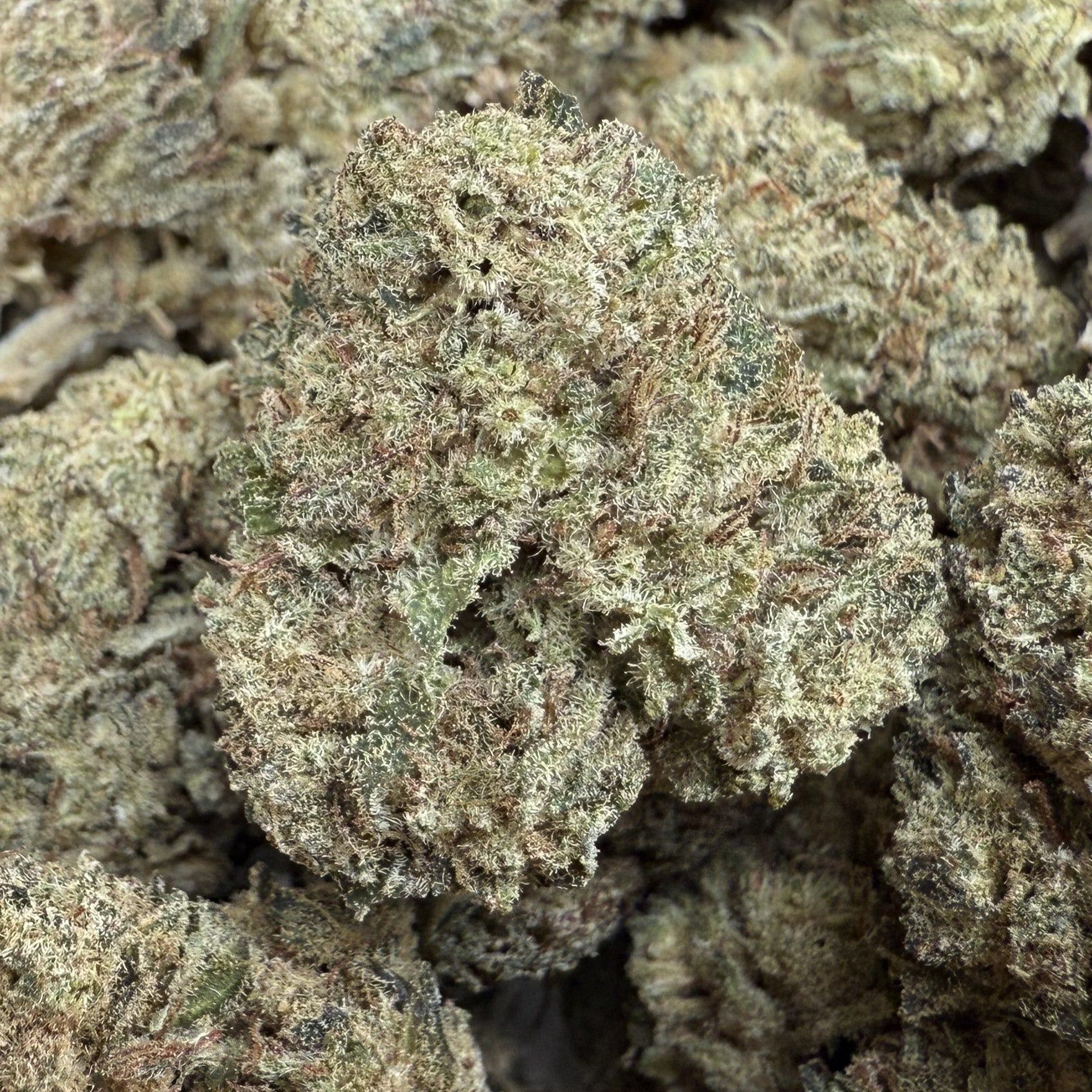 100G Mimosa CBD 20% - Sans THC - Indoor