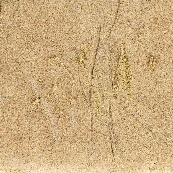 Golden Hash 150 micron CBD