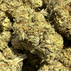 Silver Haze HPC 25% & CBG 15% - Sans THC - Indoor (Néo-Cannabinoïde)