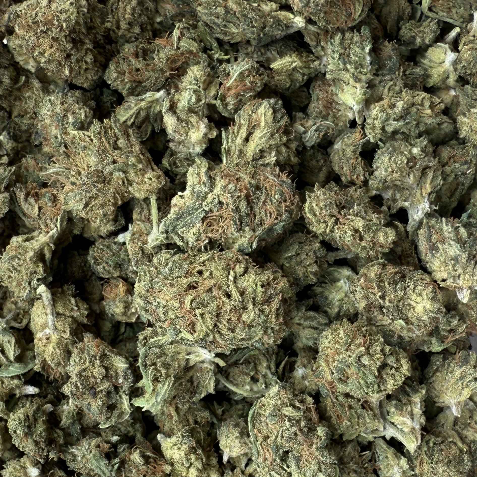 Sour Chem CBD - Indoor