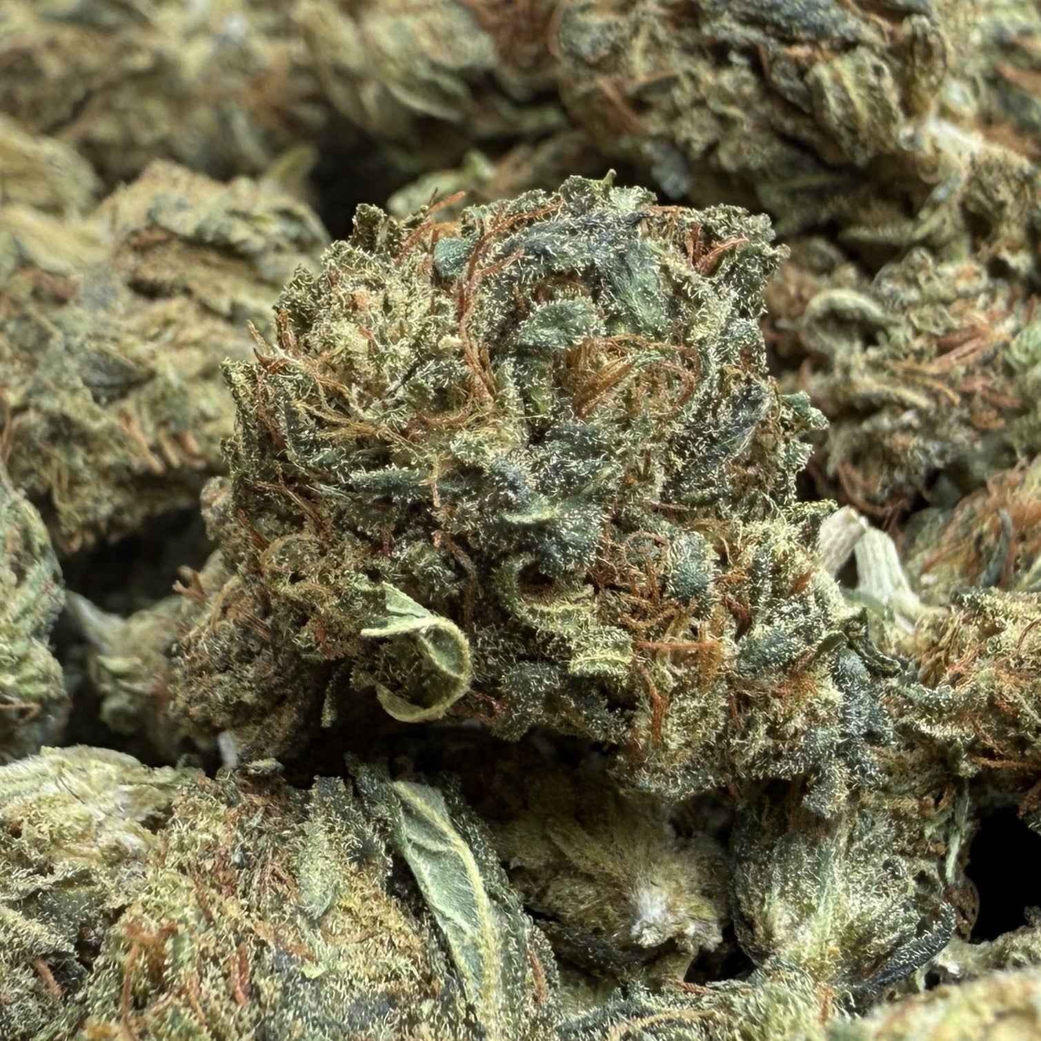 Sour Chem CBD - Indoor