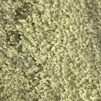 Plaque Static Dry Sift 30% THV-N10 - (Néo-Cannabinoïde)