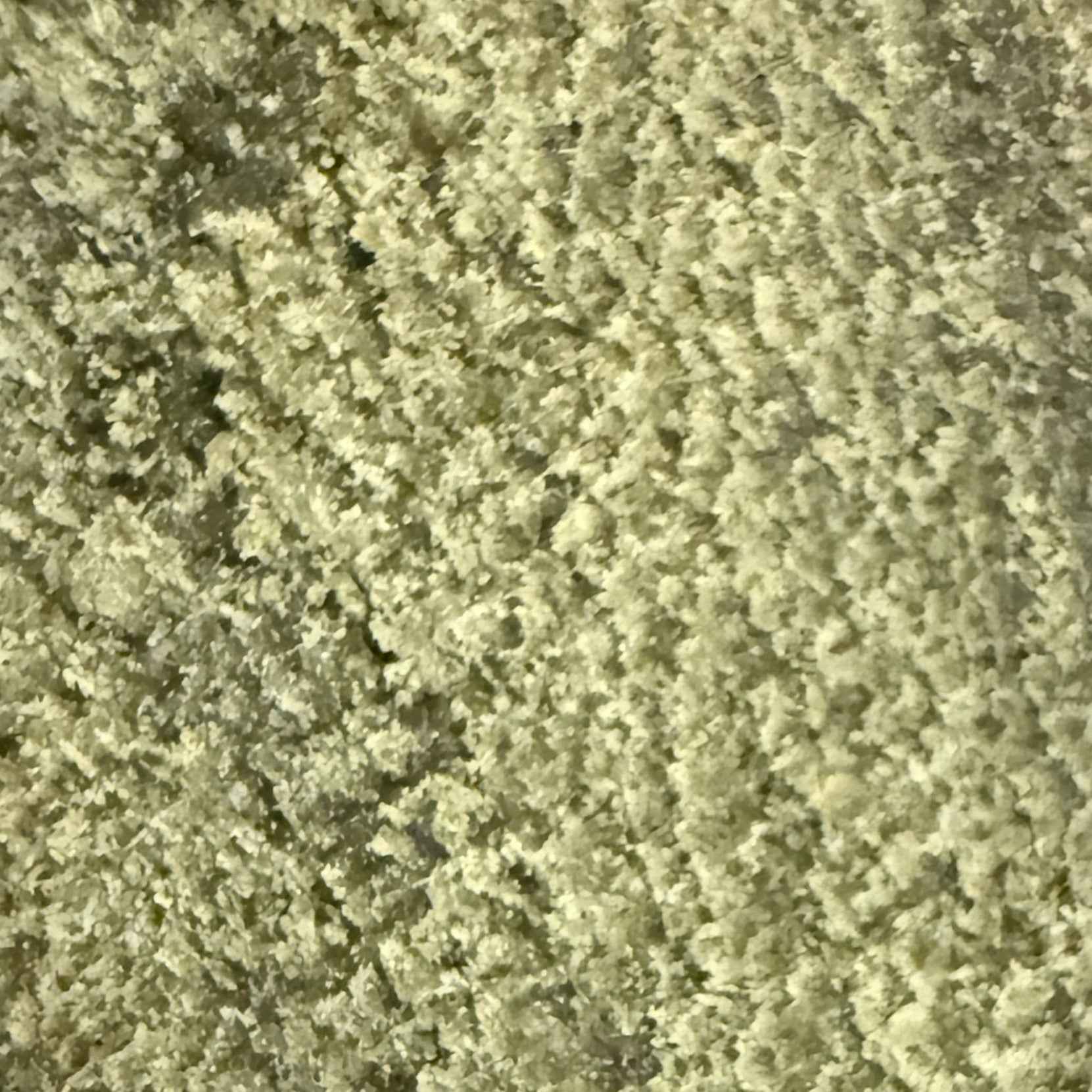 Plaque Static Dry Sift 30% THV-N10 - (Néo-Cannabinoïde)