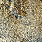 Static Hash CBD 30%