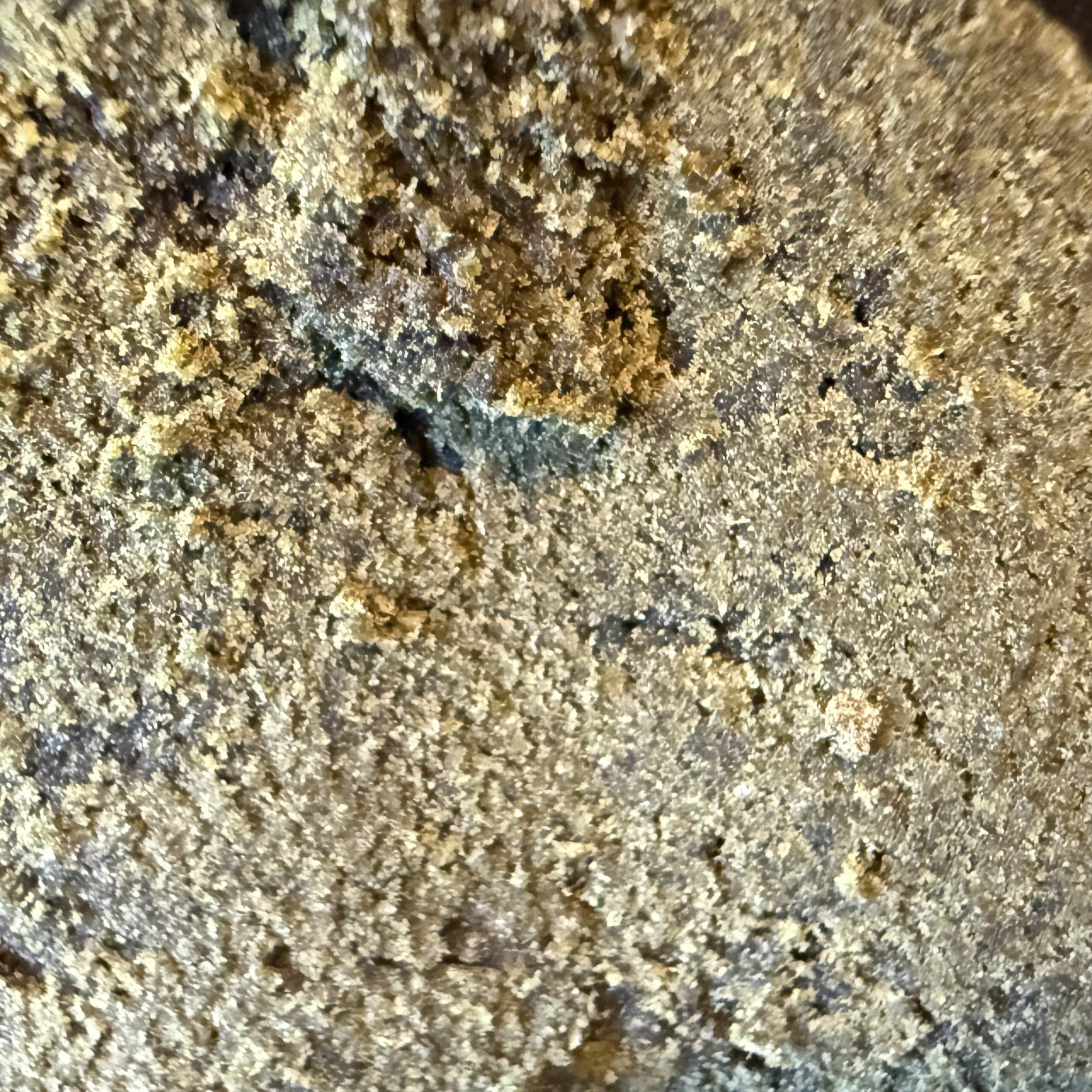 Static Hash CBD 30%