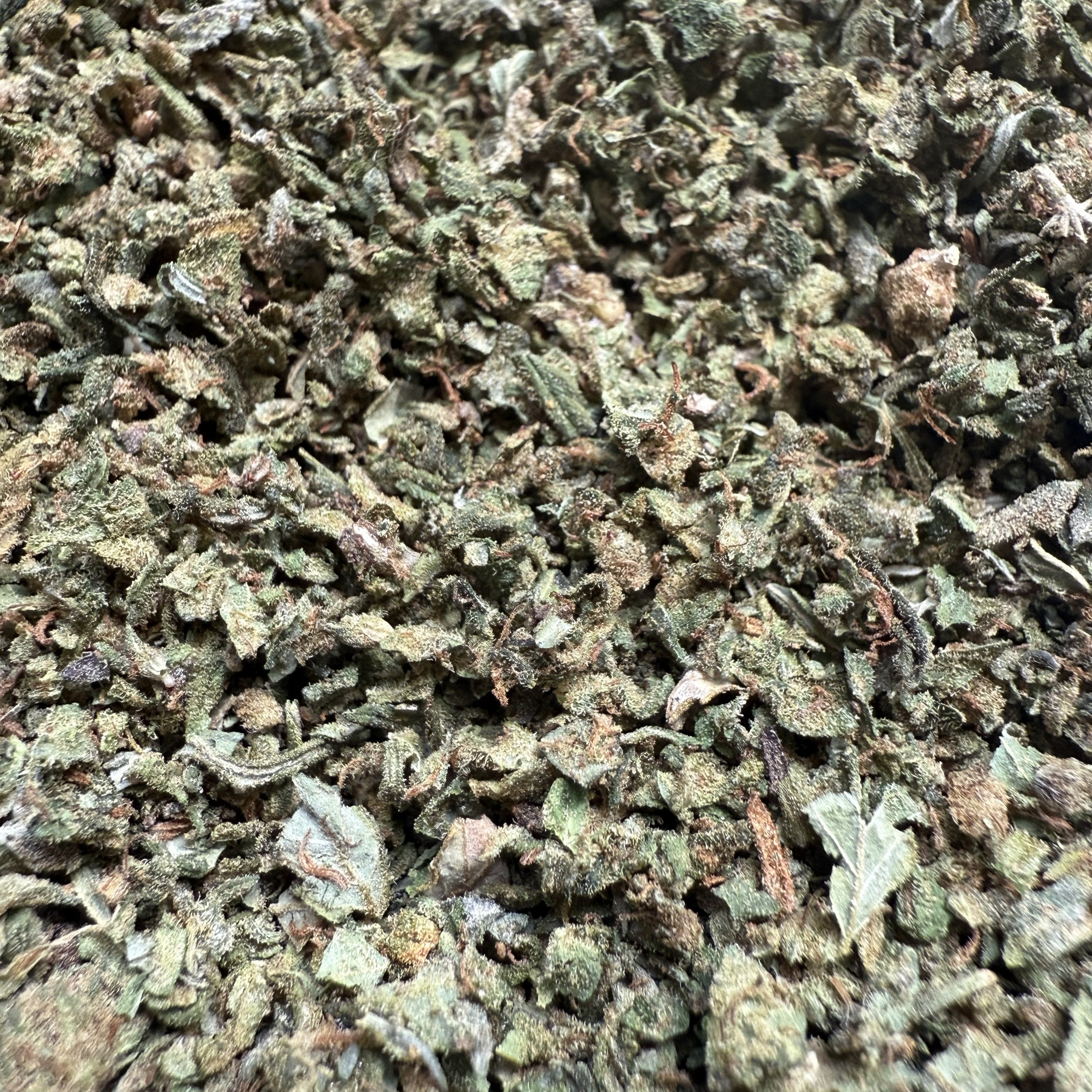 Trim CBDX - Indoor/Hydro (Néo-cannabinoïde)