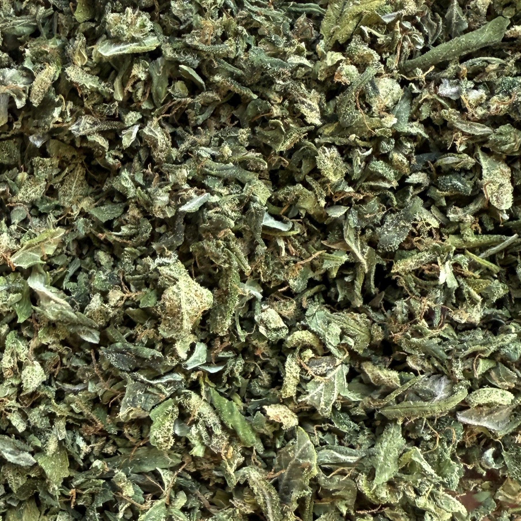Trim Cali US Sour Diesel CBD - Indoor/Hydro