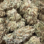 White Berry Haze CBG 15% - Sans THC - Greenhouse