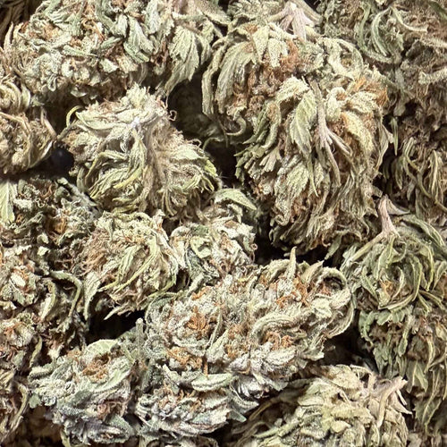 White Berry Haze CBG 15% - Sans THC - Greenhouse