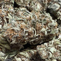 White Berry Haze CBG 15% - Sans THC - Greenhouse