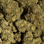 Silver Haze HPC 25% & CBG 15% - Sans THC - Indoor (Néo-Cannabinoïde)