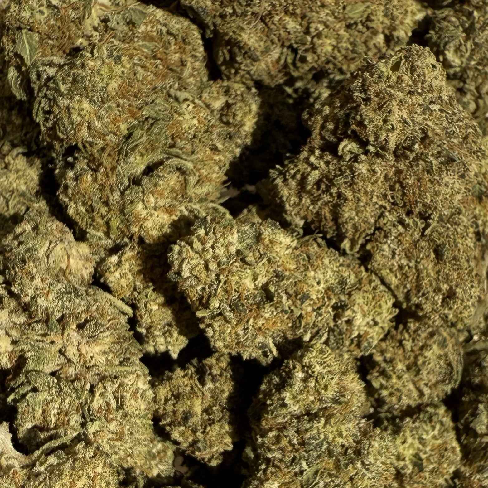 Silver Haze HPC 25% & CBG 15% - Sans THC - Indoor (Néo-Cannabinoïde)